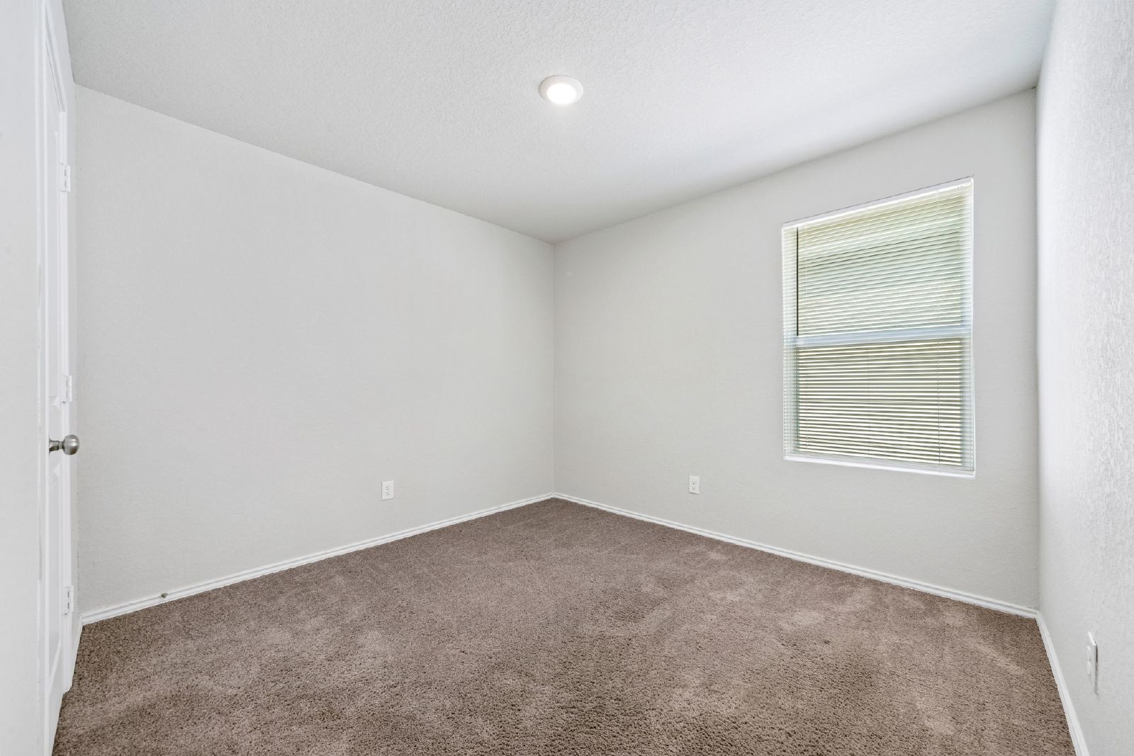 8527 Western Tanager, San Antonio TX 78245 property image