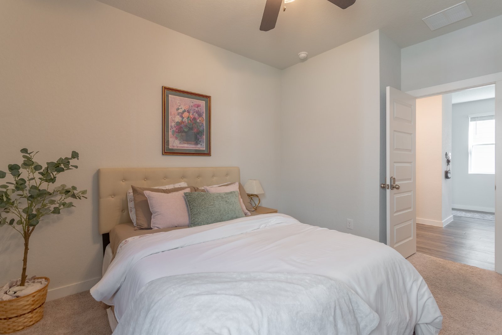 9931 Forestier Grn San Antonio, TX 78221 property image