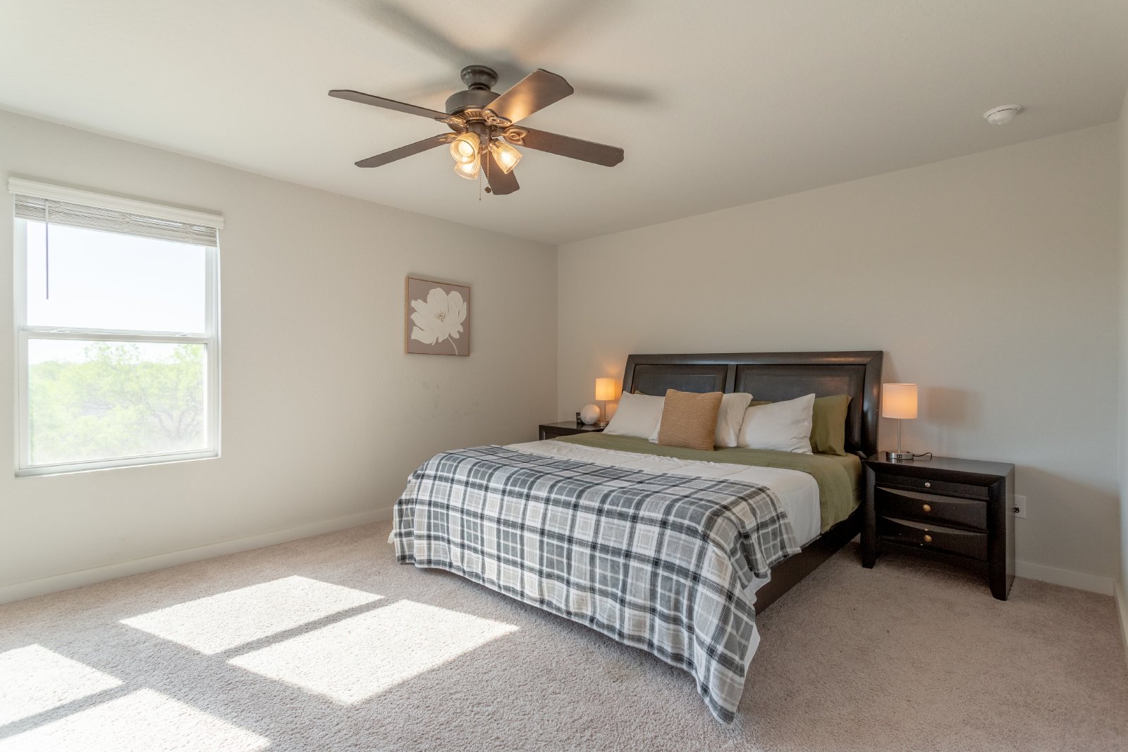 9931 Forestier Grn San Antonio, TX 78221 property image