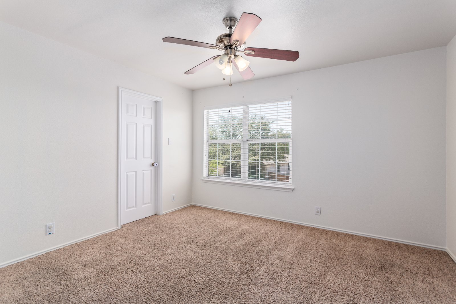 438 Leopard Claw San Antonio, TX 78251 property image